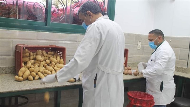 مشروع مكافحة العفن