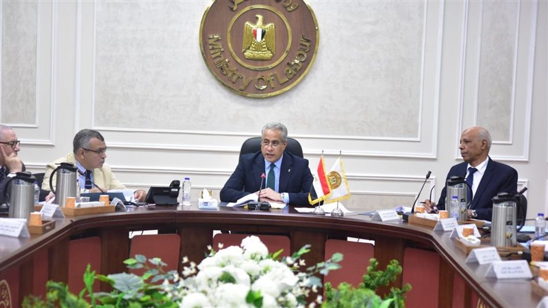 حسن شحاتة وزير العمل،فيتو