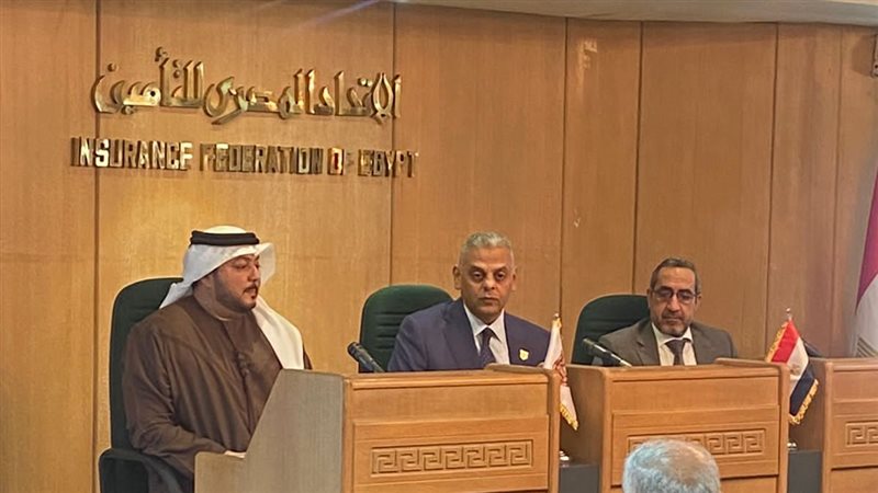 الاتحاد المصرى للتأمين،فيتو