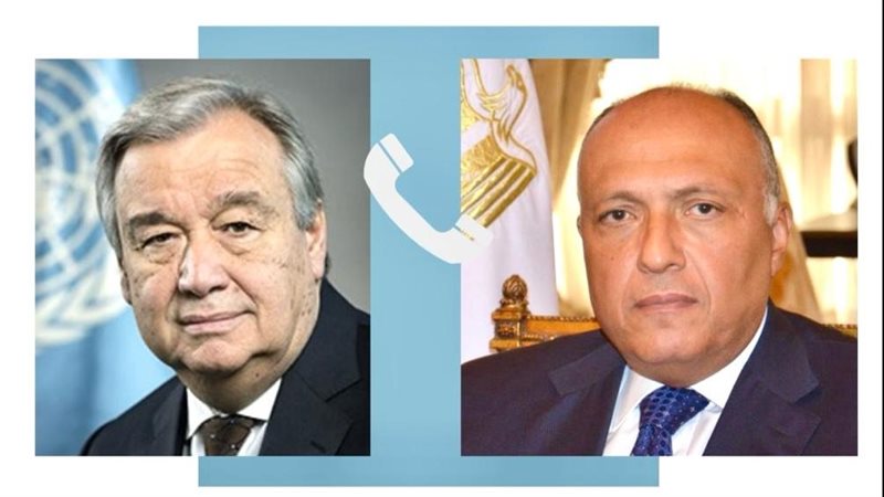 سامح شكرى وزير الخارجية،