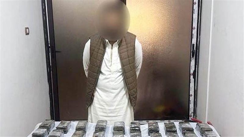 ضبط 240 طربة لمخدر