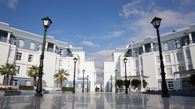 جامعة سيناء،فيتو