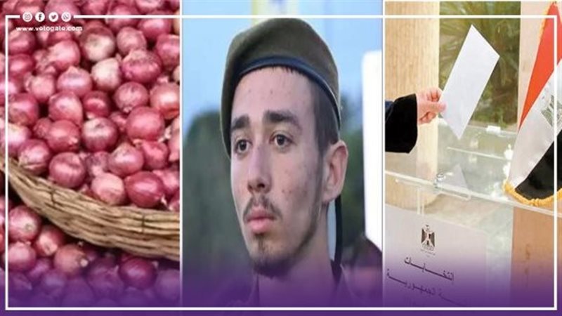 نشرة الأخبار،فيتو