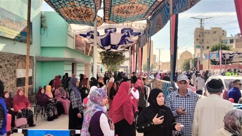 لجان الانتخابات الرئاسية،