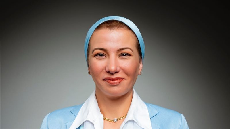 ياسمين فؤاد وزير