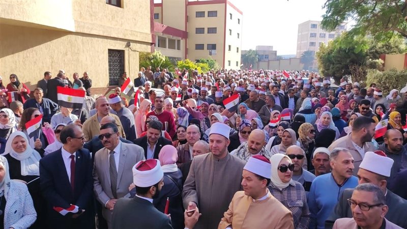  المشاركة فى الانتخابات،فيتو