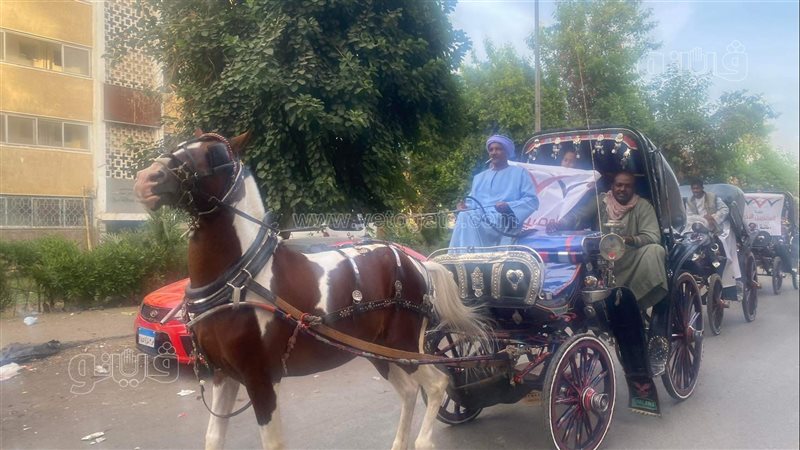 مسيرة بالحنطور فى