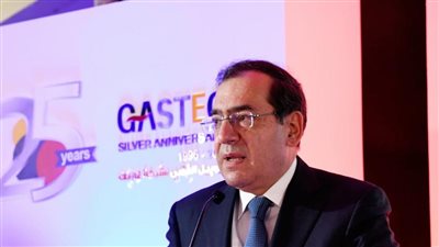 رئيس غازتك: نمتلك أعلى شبكة محطات تموين بالغاز الطبيعي 