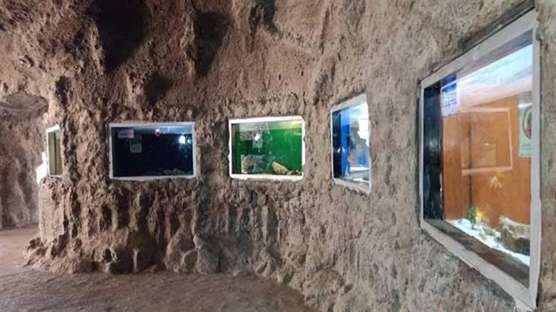 حديقة الأسماك