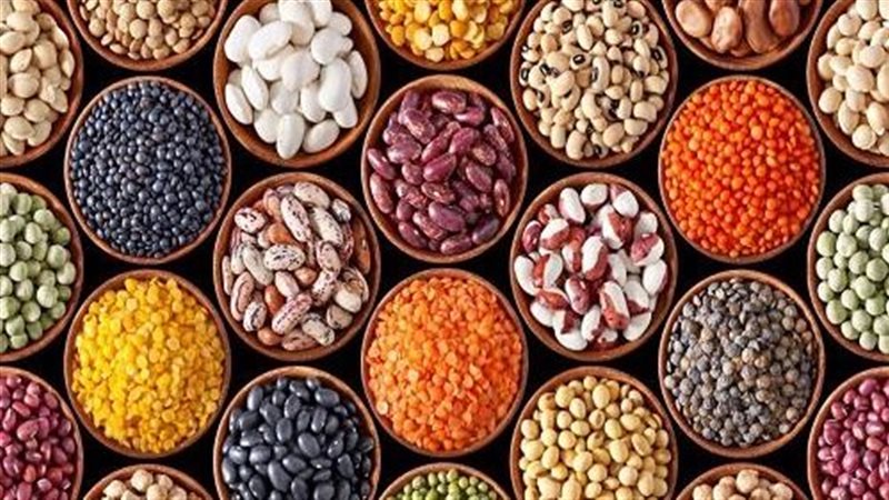 أسعار البقوليات 