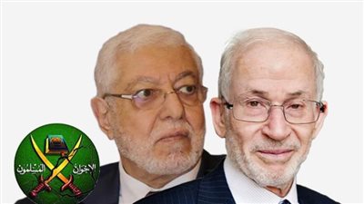 قيادي بشورى الإخوان: جبهة أمين الجماعة سبب تدمير ثورة يناير