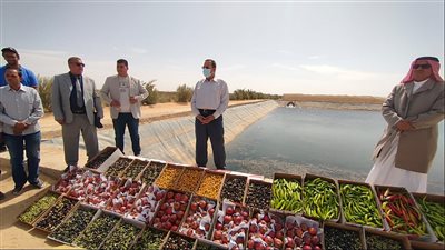 محافظ شمال سيناء يتفقد التجمعات التنموية | الصور