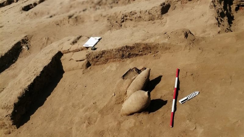 اكتشاف عدد من الأمفورات