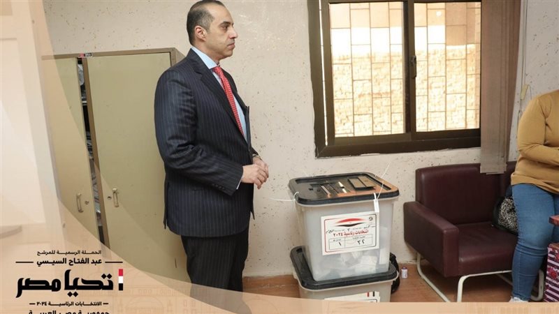 المستشار محمود فوزي.فيتو