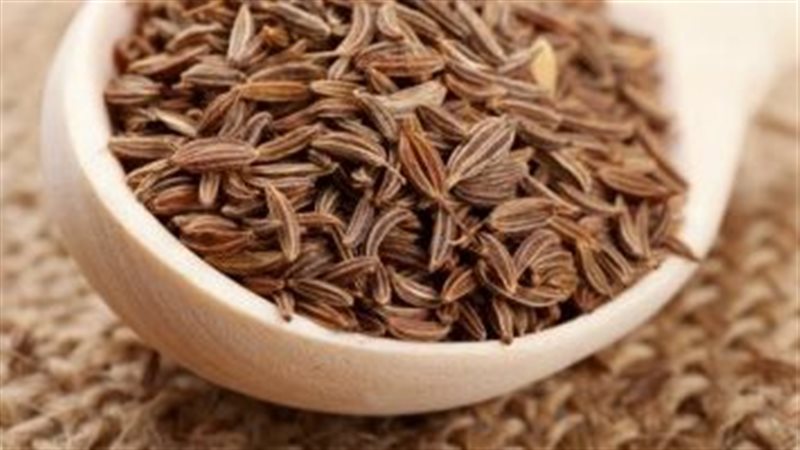 فوائد الينسون، فيتو