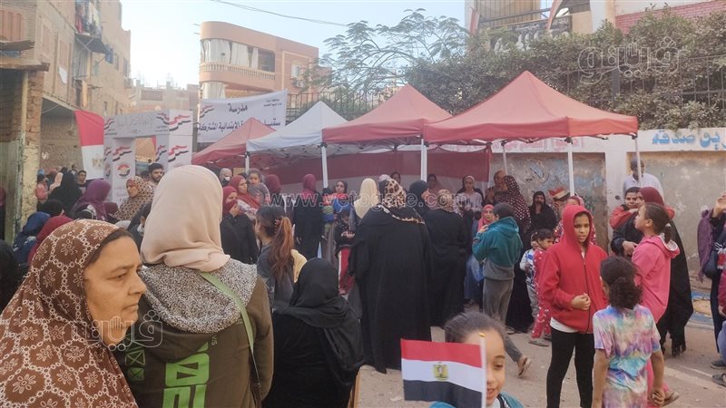 اللجان الانتخابية،فيتو