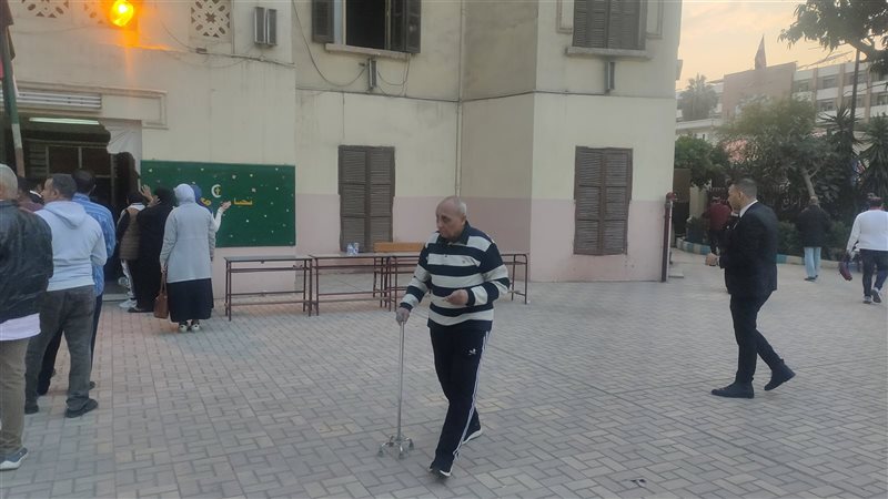 الانتخابات، فيتو