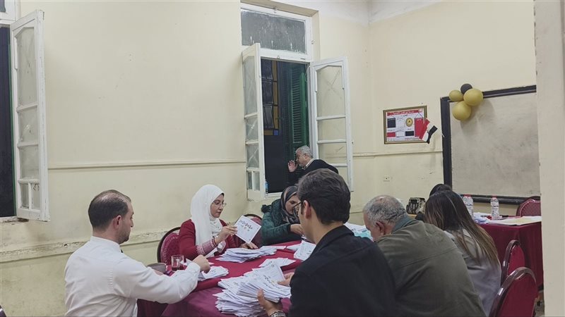 الفرز في اللجان الفرعية