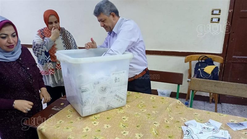 فرز الاصوات،فيتو