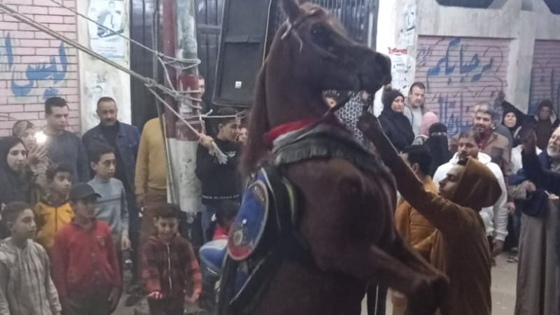 رقص الخيل أمام اللجان،
