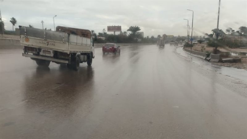 الإسكندرية،فيتو