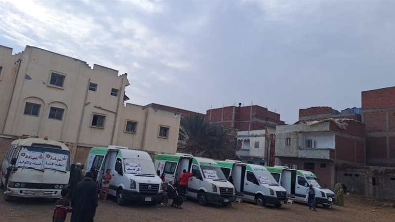 قافلة طبية بالدقهلية،