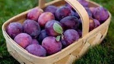 تفسير حلم أكل البرقوق في المنام وعلاقته بتغير الأحوال إلى الأفضل 