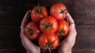 txt