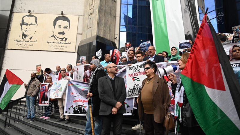 وقفة النقابة الصحفيين،