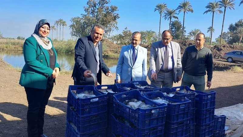 جامعة بنها، فيتو