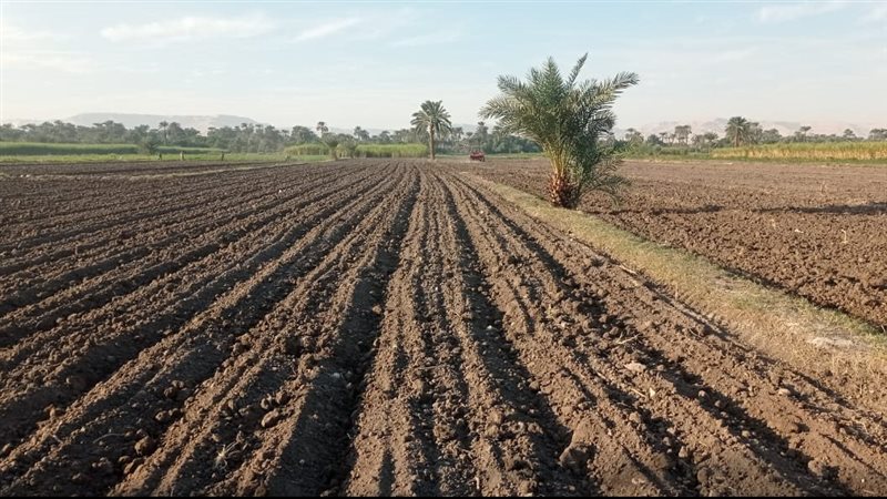 أرض زراعية، فيتو
