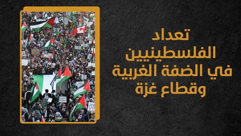 فلسطين، فيتو