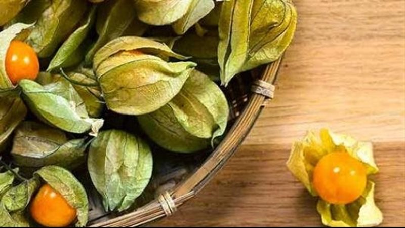 فوائد الحرنكش، فيتو