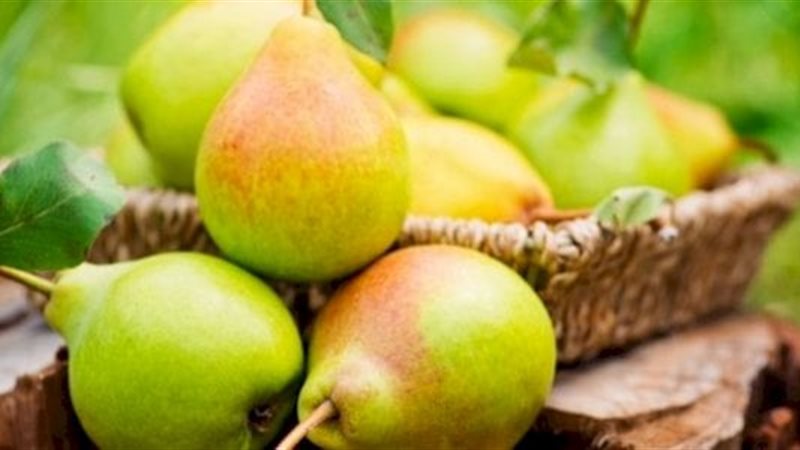  أسعار الفاكهة في
