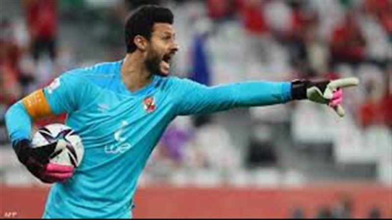 محمد الشناوي، فيتو