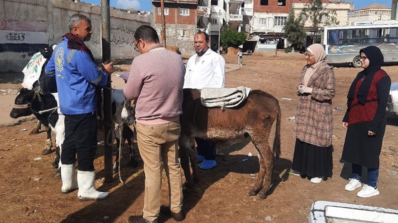 جهود مديرية البيطري