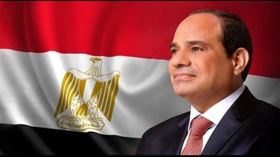 وزير الخارجية يهنئ الرئيس السيسي بفوزه بالانتخابات الرئاسية