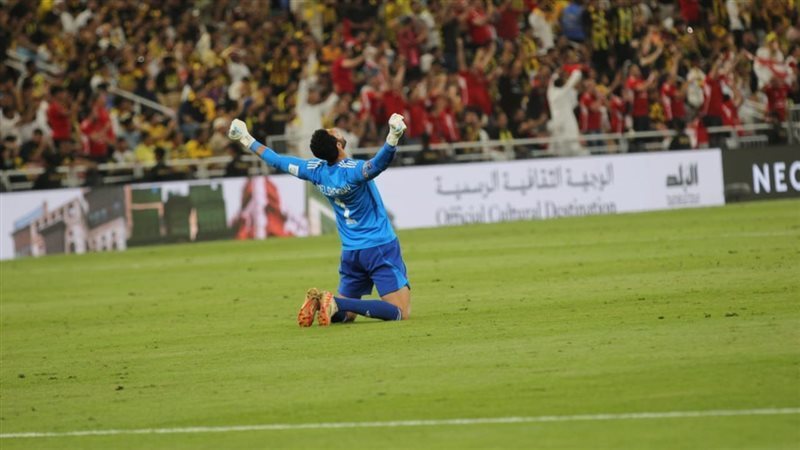 محمد الشناوي، فيتو