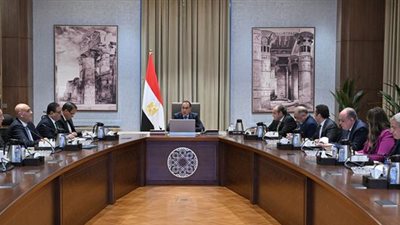 مصطفى مدبولي يلتقي زعيم الأغلبية البرلمانية ورئيس لجنتي الصناعة بمجلس النواب