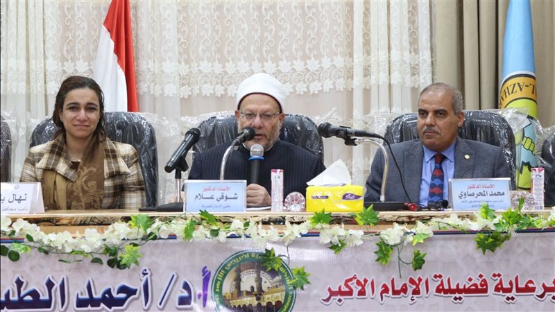ندوة جيل ضد الشائعات،فيتو