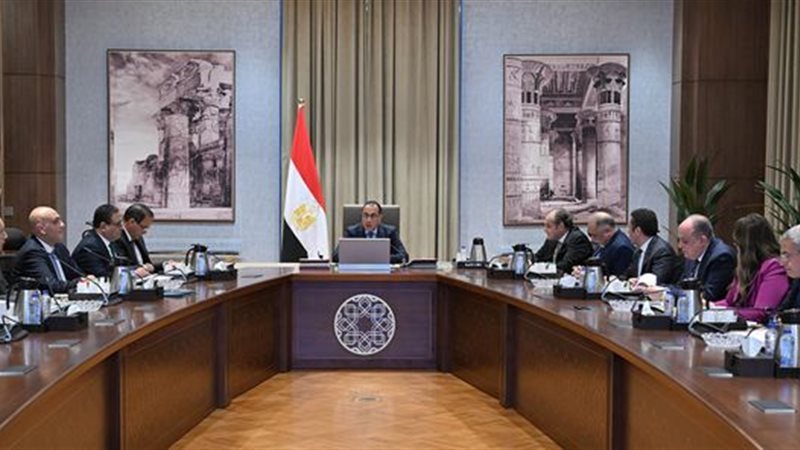 مجلس الوزراء،فيتو