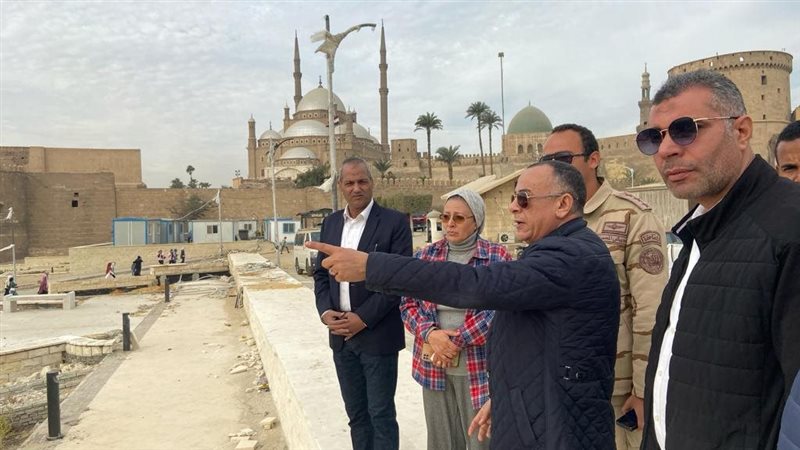 الدكتور مصطفي وزيري