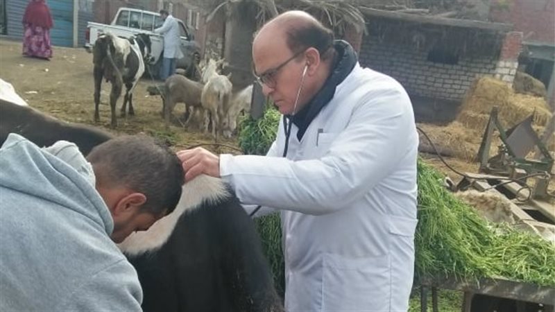قافلة بيطرية بقرية