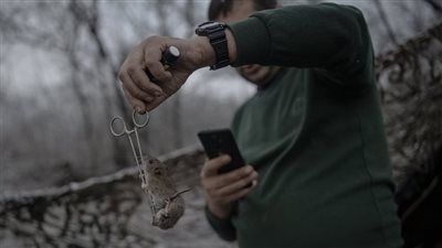  فيروس هانتا، مرض مميت تنقله الفئران للبشر، ليس له علاج حتى الآن، تسبب في وفاة 4 أشخاص بأمريكا، الحمى والصداع أبرز الأعراض
