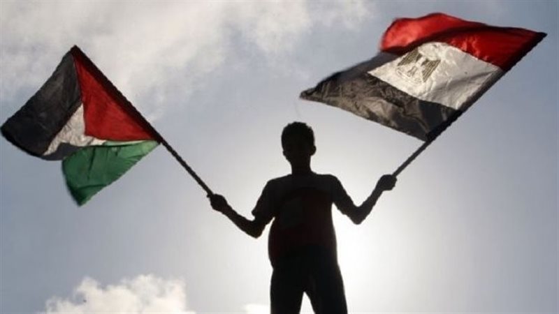 مبادرة مصرية لوقف