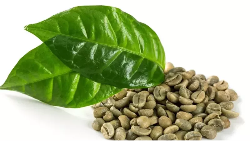 فوائد القهوة الخضراء،
