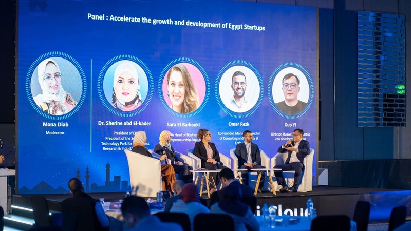 برنامج دعم الشركات
