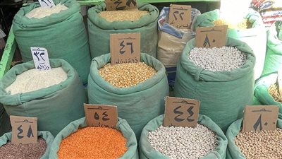 أسعار البقوليات اليوم الجمعة 29-12-2023 في الدقهلية 