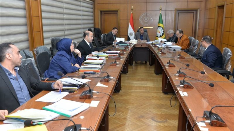 محافظ الدقهلية يترأس