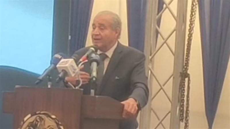الدكتور علي مصيلحي